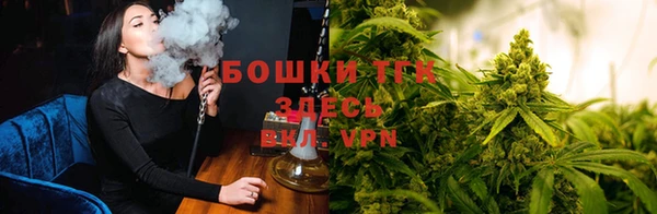 гидра Алексеевка