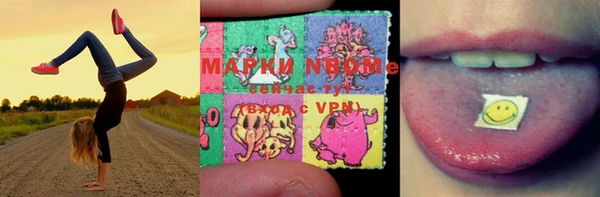 хмурый Алзамай
