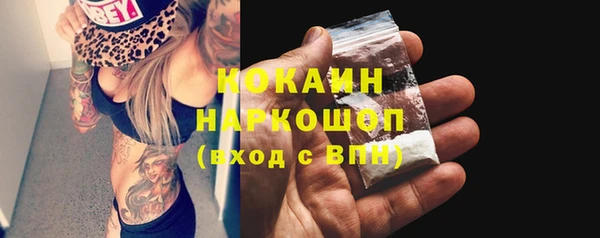 хмурый Алзамай