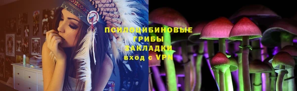 амф Алексин