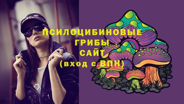 амф Алексин