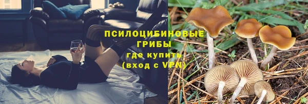 амф Алексин