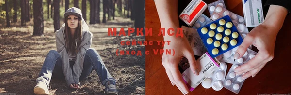 хмурый Алзамай