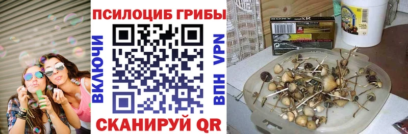 Псилоцибиновые грибы Psilocybine cubensis Ейск